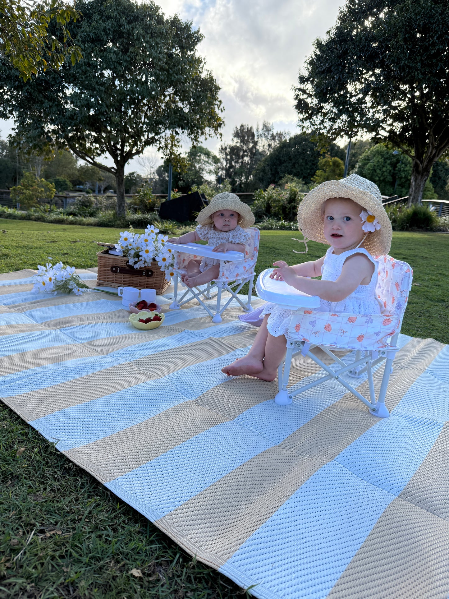 Portable Baby Chair - BERRY