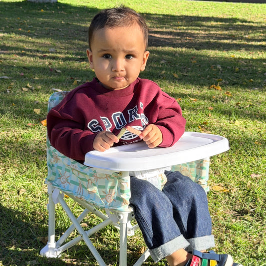 Portable Baby Chair - COAST