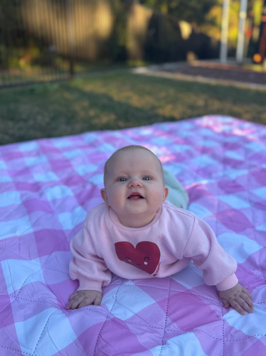 Picnic Mat - Pink Gingham