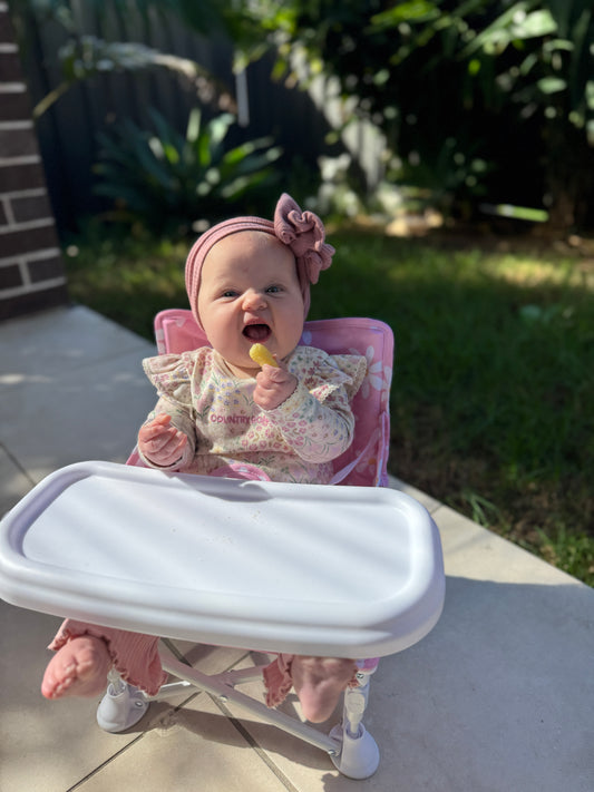 Portable Baby Chair - BLOOM