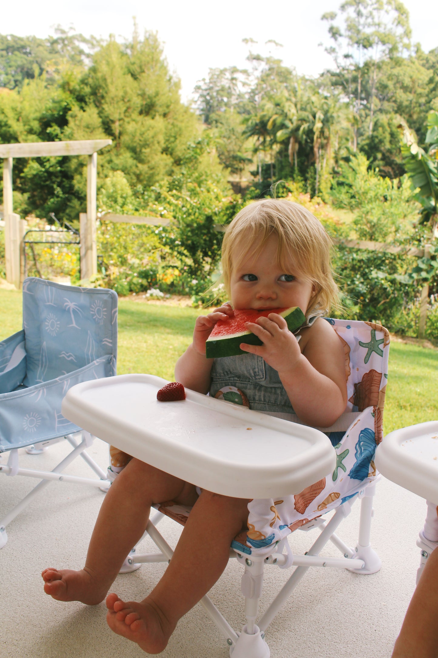 Portable Baby Chair - BANKS
