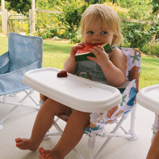 Portable Baby Chair - COVE