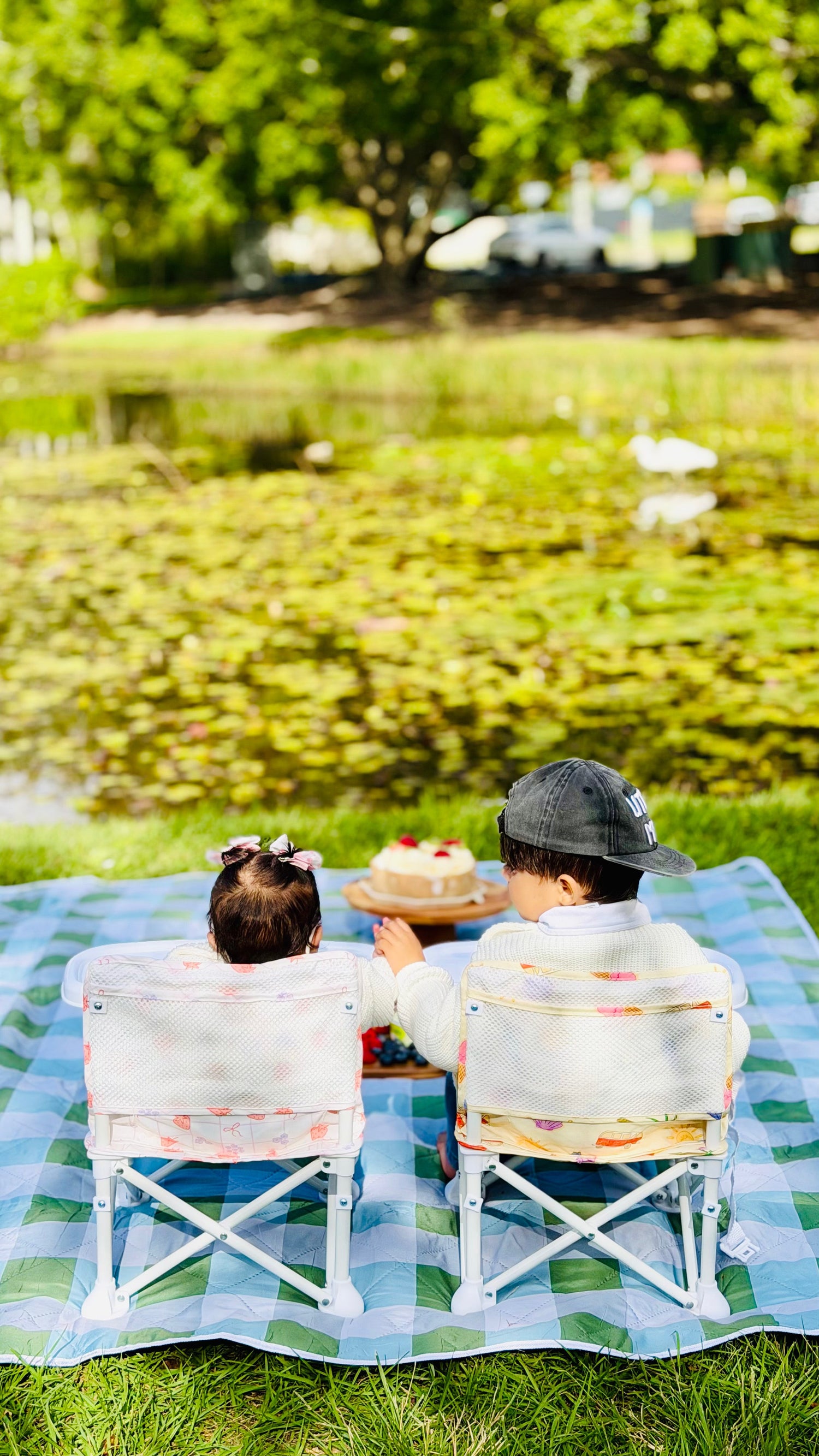 Portable Baby Chairs - Up to 25kg