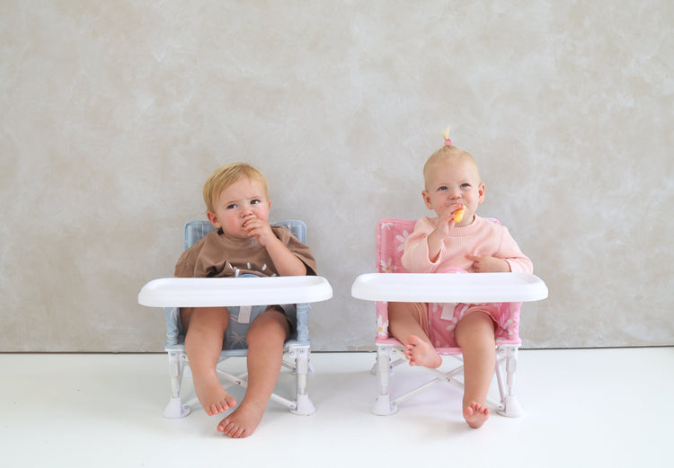 Portable Baby Chairs - Up to 15kg