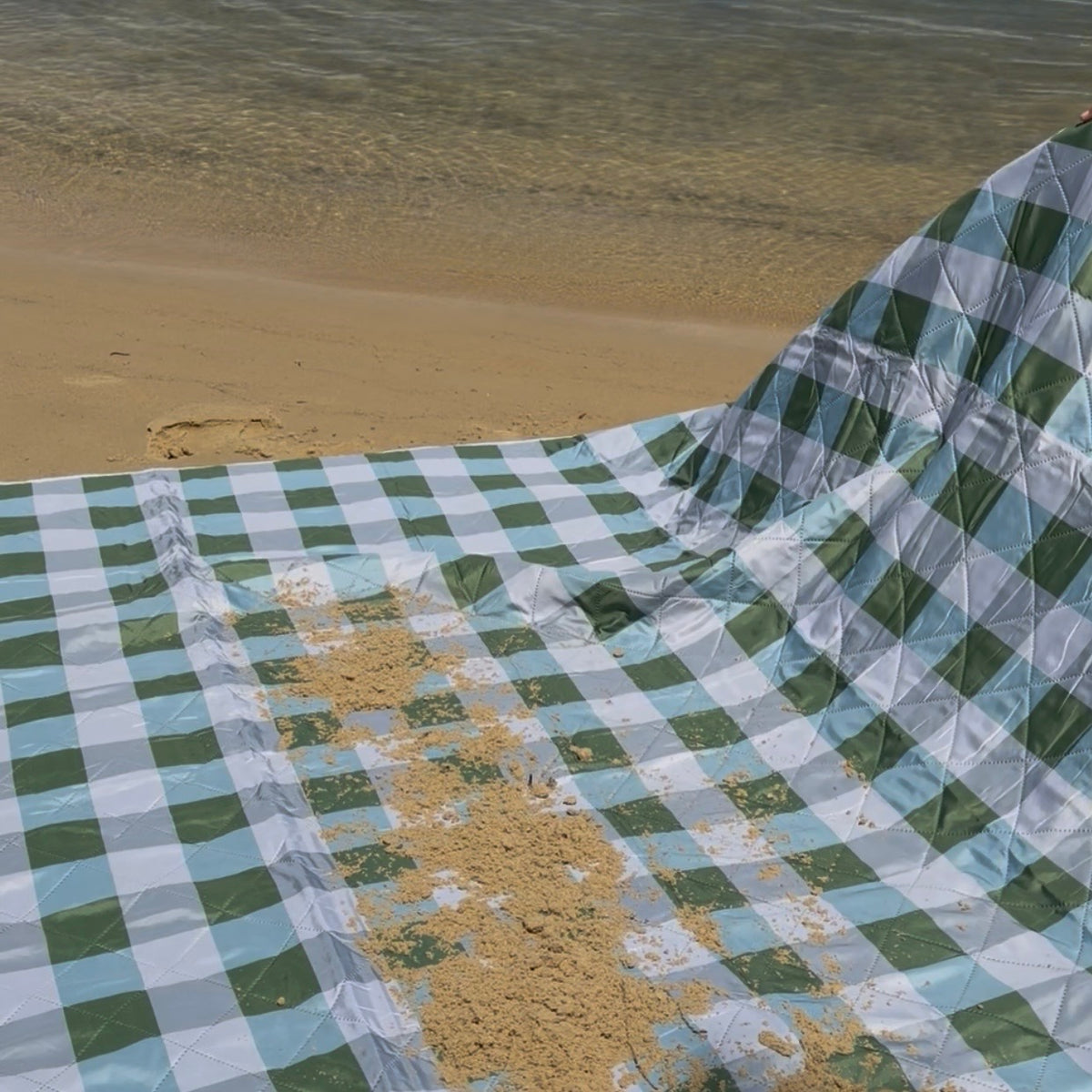 Picnic Mat - Sprig