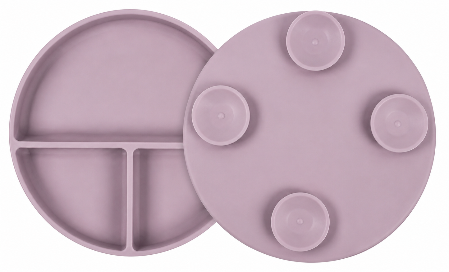 Stay Put Suction Plate with Lid