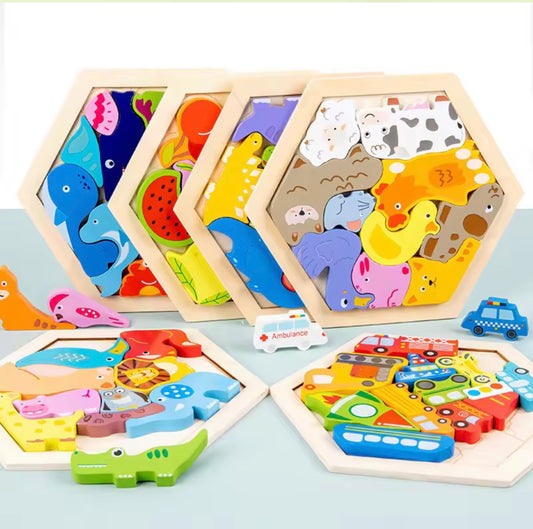 Wooden Hexagon Puzzle