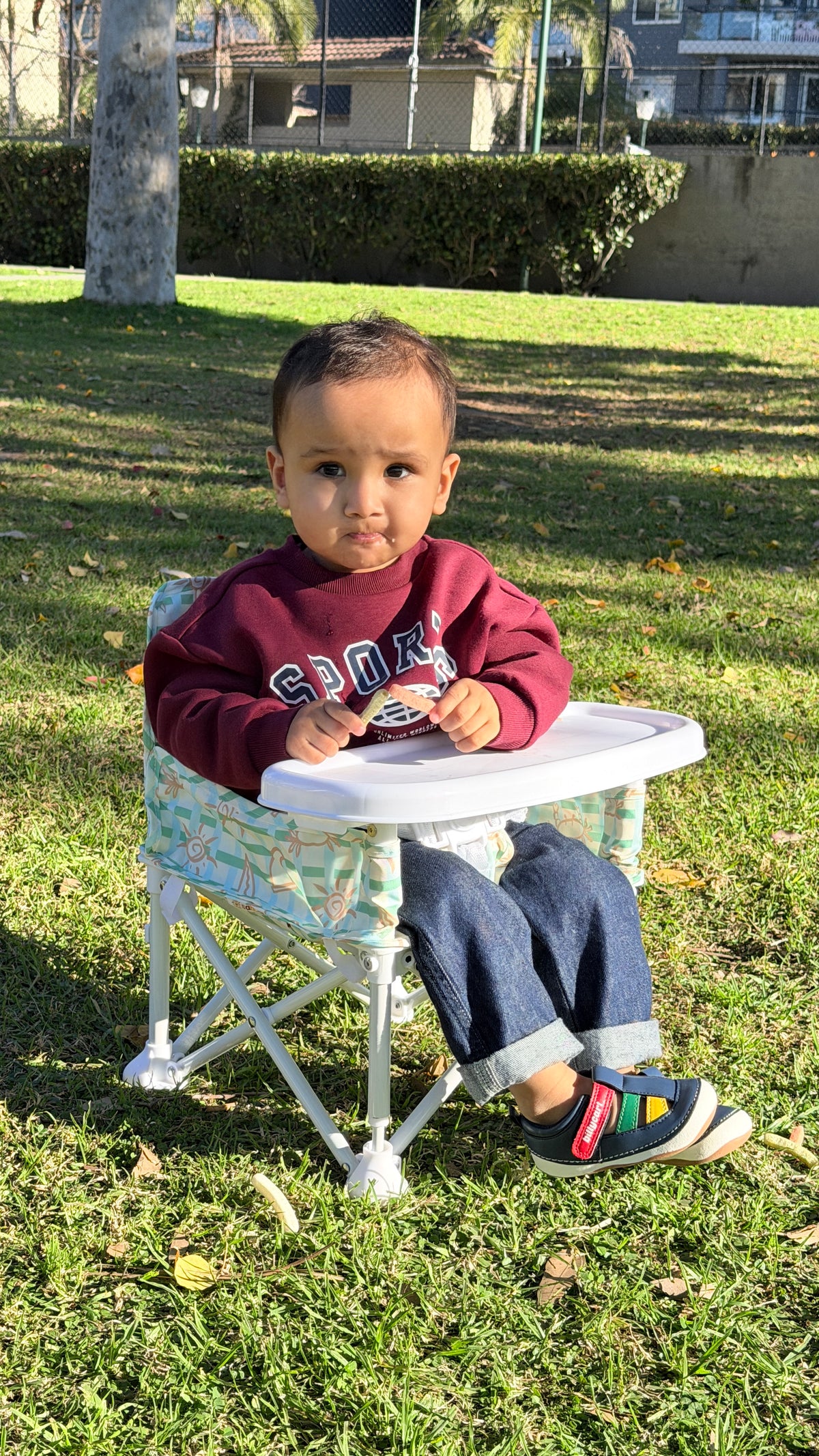 Portable Baby Chair - COAST