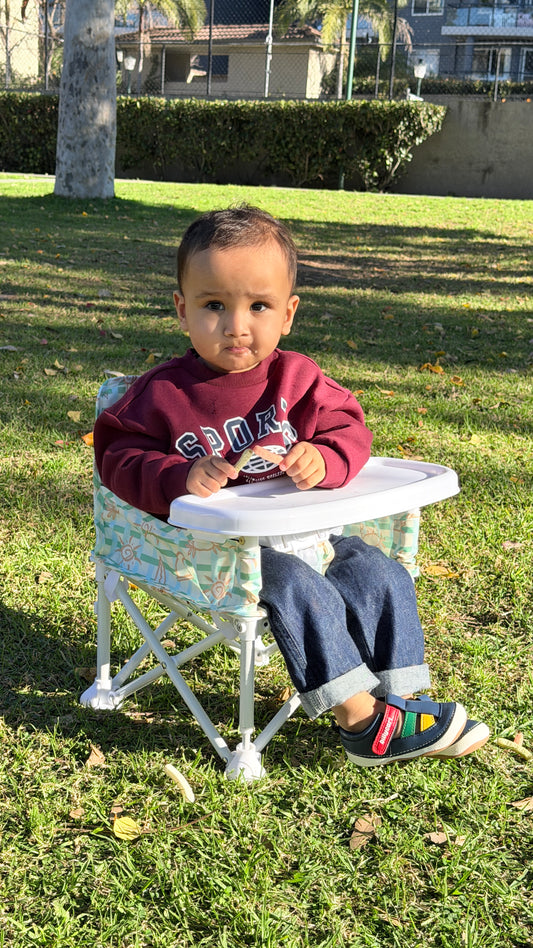 Portable Baby Chair - COAST