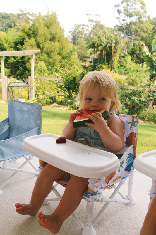 Portable Baby Chair - COVE