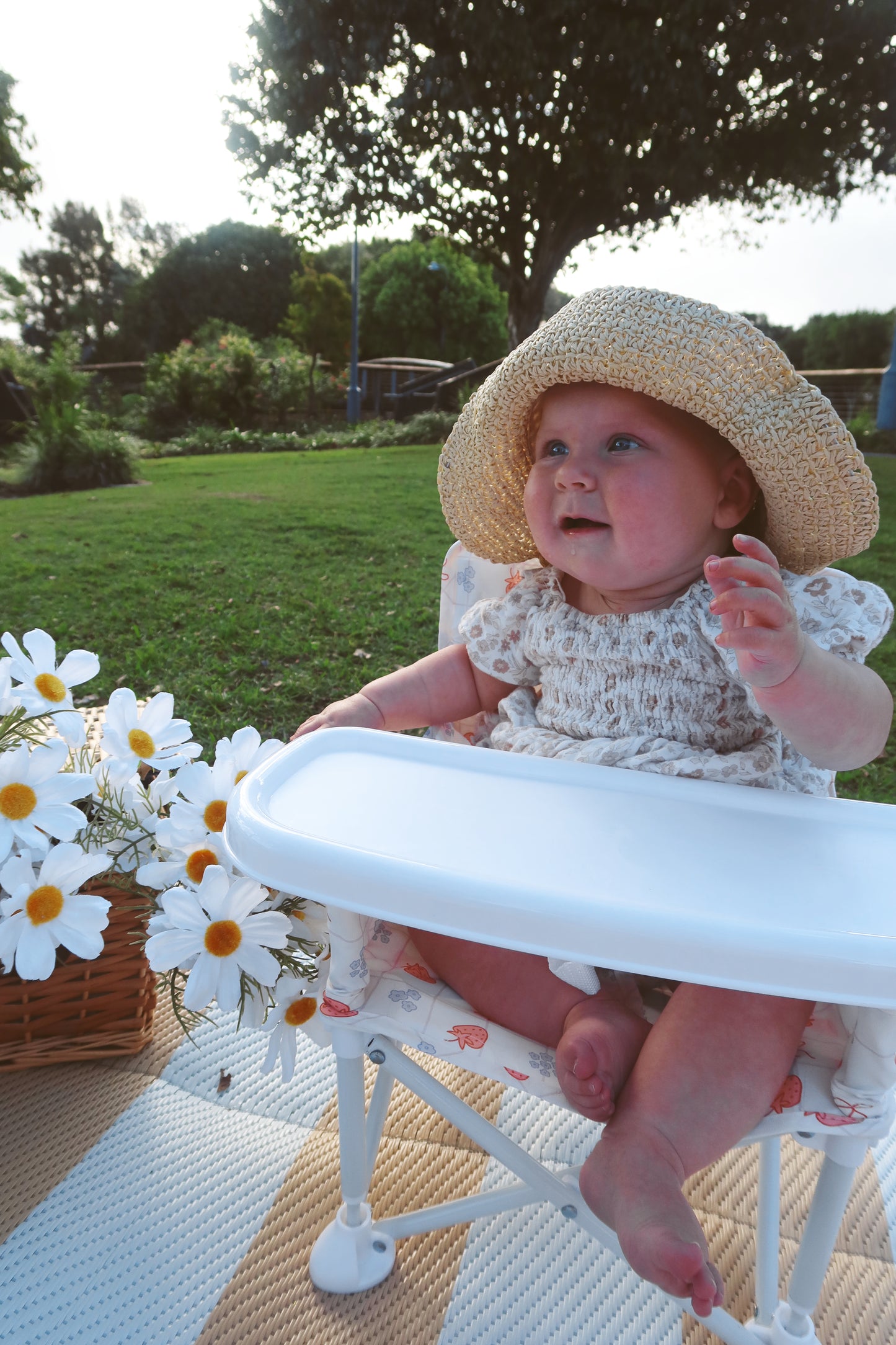 Portable Baby Chair - BERRY