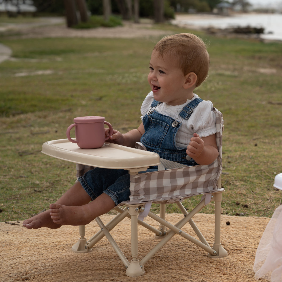 Portable Baby Chair - HAVEN V2 LIMITED ADDITION